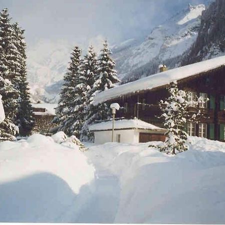 Familienferien Im Chalet Baergli Kandersteg Exteriér fotografie