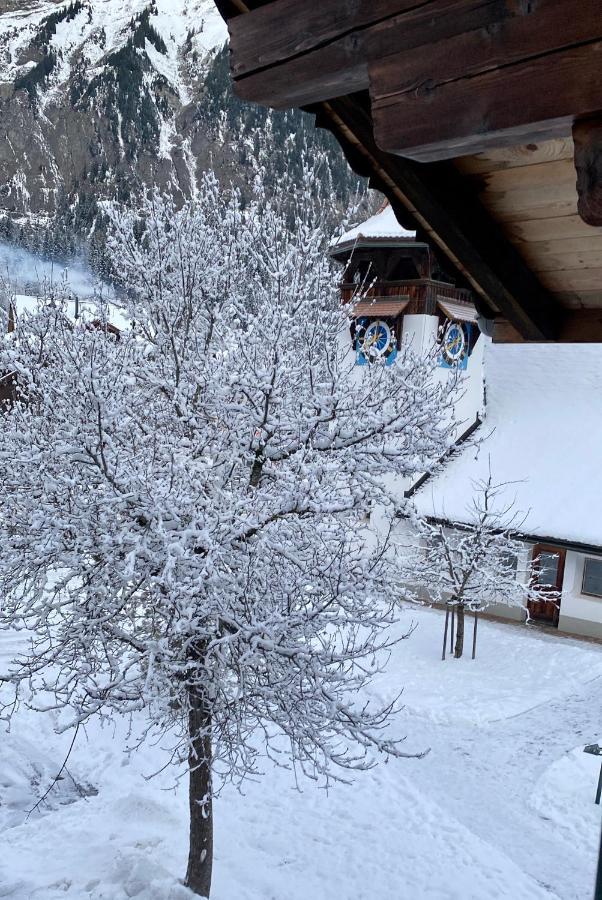 Familienferien Im Chalet Baergli Kandersteg Exteriér fotografie